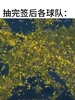 抽完签后的欧冠各支球队...